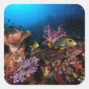 Recherche de plongée sous marine autocollants Aventure