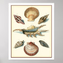 Recherche de fantaisie art Mer