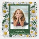 Recherche de jolie marguerite autocollants Fleur sauvage