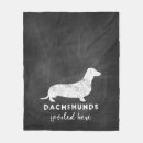 Recherche de teckel Chien de weiner