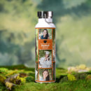 Recherche de orange gourdes Collage photo