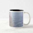 Recherche de japon en photos mugs bouteilles Regarder l'appareil photo
