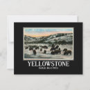 Recherche de troupeau cartes postales Parc national de yellowstone