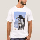 Recherche de gentoo tshirts Colonie