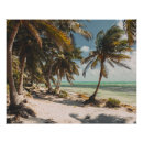 Recherche de mer turquoise posters Toute personne