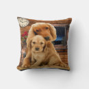 Recherche de de labrador retriever coussins Drôle