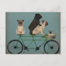 Recherche de tandem cartes postales Chiens à bicyclette