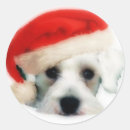 Recherche de chien schnauzer miniature autocollants Noël