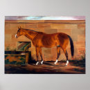 Recherche de de scottie art Animal
