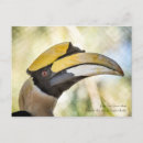 Recherche de grand oiseau cartes postales Portrait