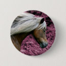 Recherche de galop badges Poney