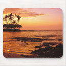Recherche de ile tapis souris Tropical