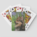 Recherche de spitz jeux de cartes Bob and pam langrish