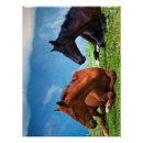 Recherche de raffinerie posters Nature