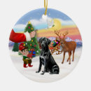 Recherche de black dog ornements Animal de compagnie