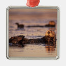 Recherche de loutres ornements Animal