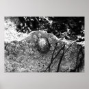 Recherche de littoral posters Faune