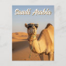 Recherche de arabie saoudite cartes postales Arabe