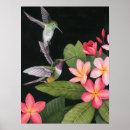 Recherche de colibri art Des oiseaux