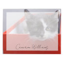 Recherche de chats noirs blocsnotes Chaton