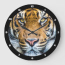 Recherche de tiger horloges Afrique
