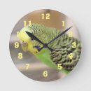 Recherche de kiwi oiseau art Vert