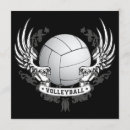 Recherche de volleyball invitations Boule
