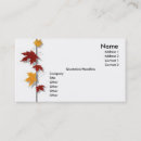 Recherche de bouleau blanc cartes visite Automne