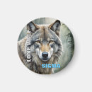 Recherche de num magnets Contenu générationnel