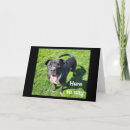 Recherche de petit neveu vœux cartes Adolescent