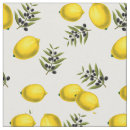Recherche de citron loisirs créatifs Agrumes