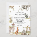 Recherche de ratons laveurs invitations Animaux