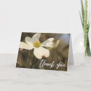 Recherche de fleuri photographie Floral