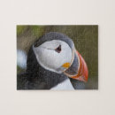 Recherche de puffin puzzles Bouffon