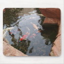 Recherche de koi tapis souris Nature