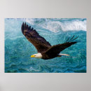 Recherche de vol de la vie art Nature