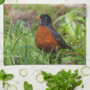 Recherche de chanteur cuisine linges Oiseau
