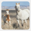 Recherche de chevaux sauvages autocollants Pays