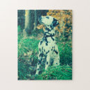 Recherche de dalmatien puzzles Petit