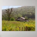 Recherche de fleurs de montagne posters Forêt