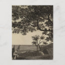 Recherche de le vanuatu cartes postales Tanna