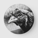 Recherche de poulettes horloges Animal