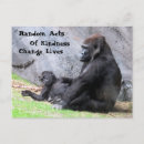 Recherche de bébé gorille cartes postales Maman