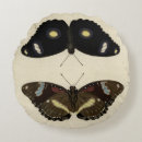 Recherche de papillons coussins Crème