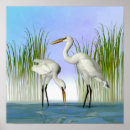 Recherche de grand héron blanc posters Ardea alba