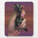 Recherche de opossum tapis souris Planeur