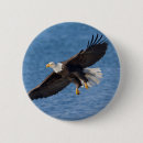Recherche de vol badges Animal