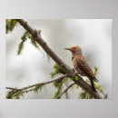 Recherche de gary posters État de washington