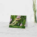 Recherche de hirondelle vœux cartes Photographie