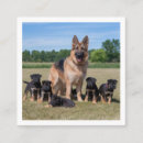 Recherche de chiot de berger allemand cartes visite Pour tous